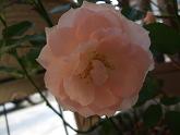 2010_06190004.JPG