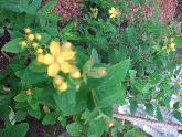 2010_06190007.JPG