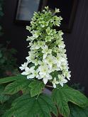 2010_06190009.JPG