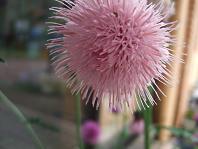 2010_06150003.JPG