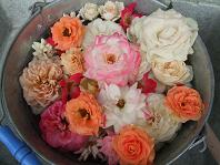2010_07140010.JPG