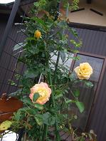 2010_07010003.JPG