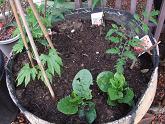 2010_05290081.JPG