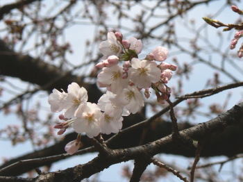 0403-4