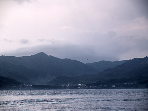 浪板