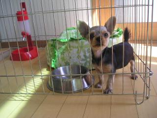 49324;51652; 015.jpg