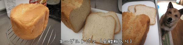 ヨーグルトパン.jpg