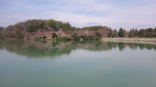 きしべ