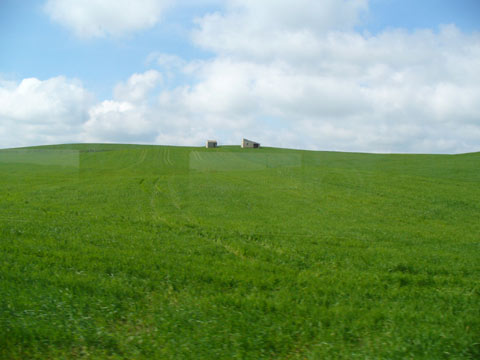 どこまで行ってもこの風景