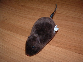 DSCF0151.JPG
