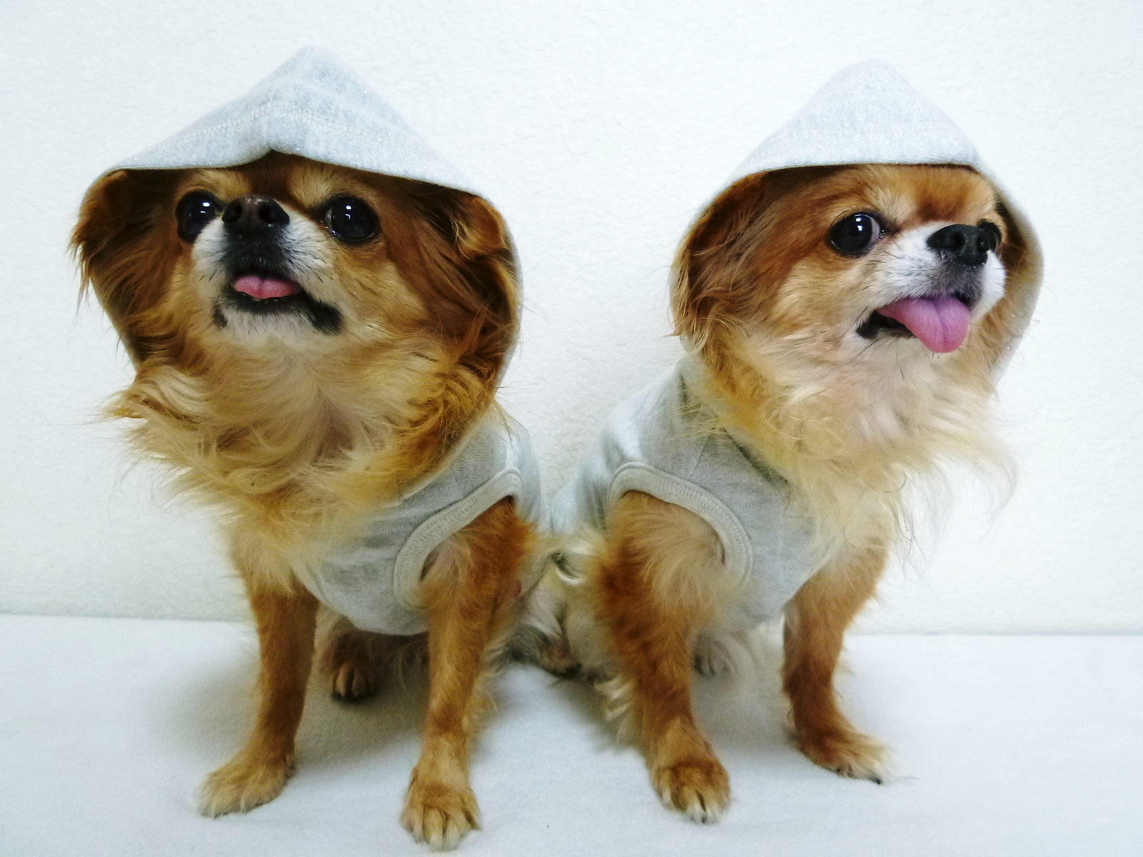 1014