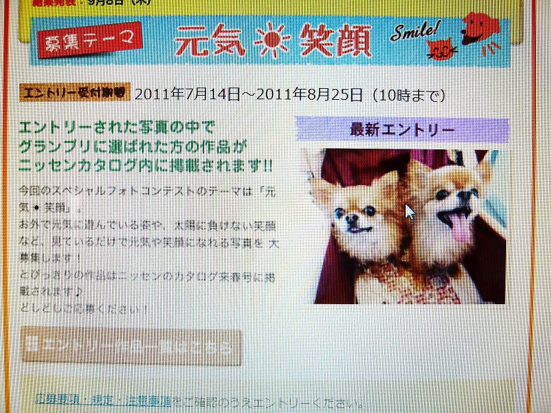 8.23
