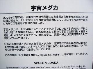 2.7
