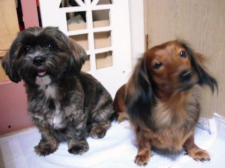 8.21