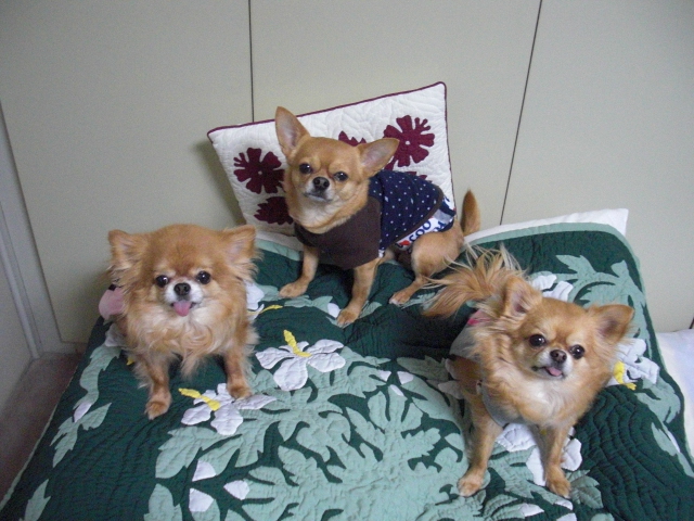 2.2.