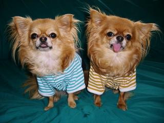 11.7