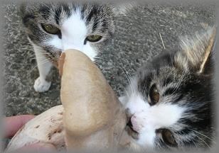 ？
