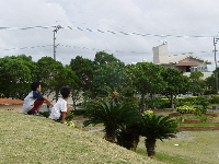 11月の公園。天気は曇り。