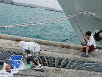 よし！海水確保！