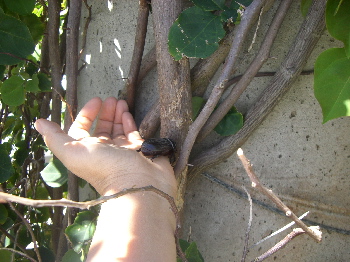 バイバイ！元気でね☆