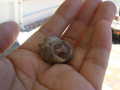 照れ屋さんの紫ちゃん☆