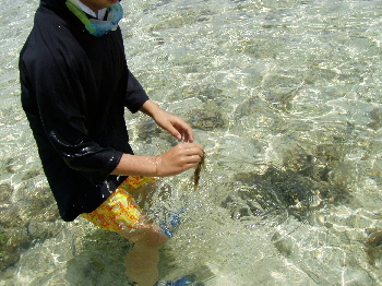 モズク発見！水がきれいだね！