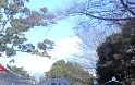 fuji09.01.01
