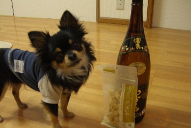 バレンタイン１