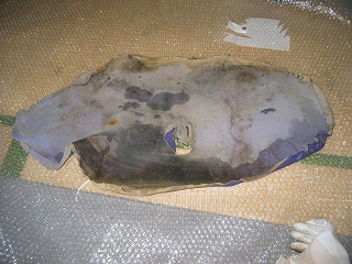 オークションで買ったシートその5