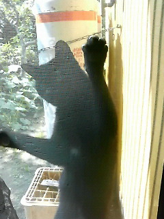 200806151409000.jpg