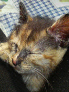 200806131708000.jpg