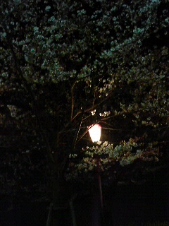200904112023000.jpg