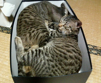 200609071733000.jpg