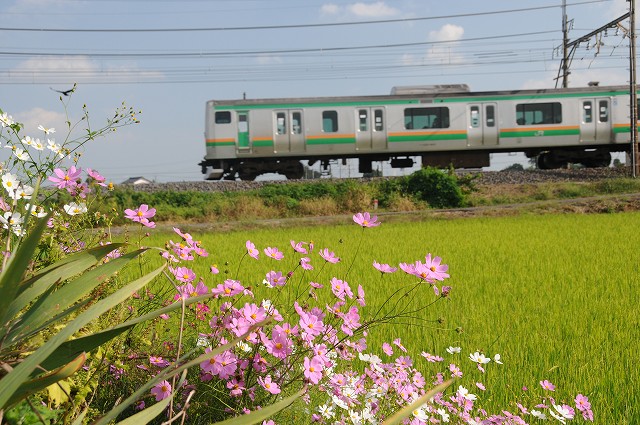 東鷲宮-7