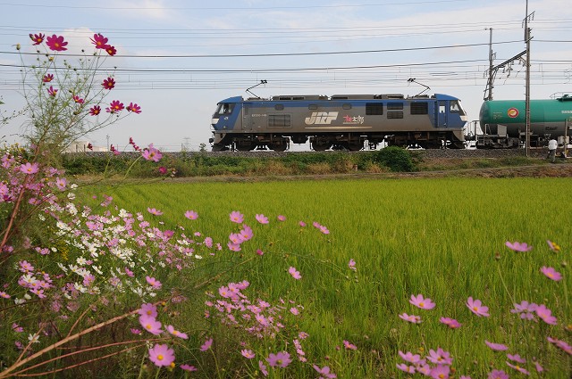 東鷲宮-8