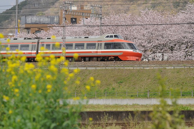 小田急線-002