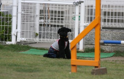 ゲーム・のーちゃん