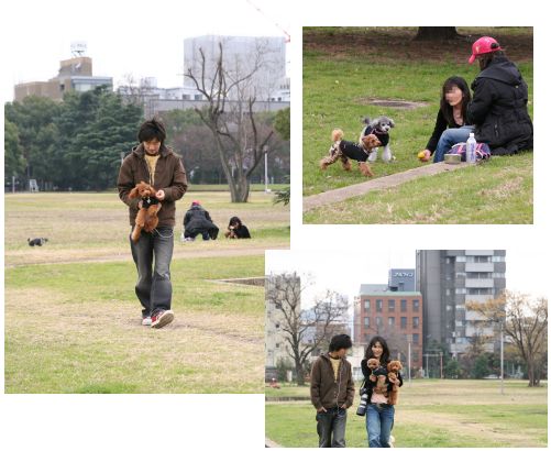 晴ぴな強制退去