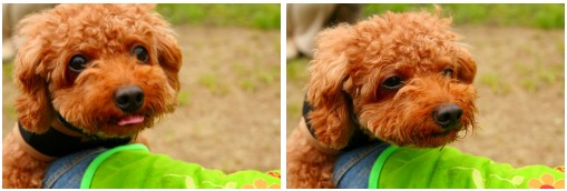 好きな子が・・