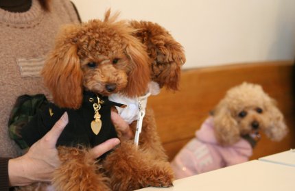 ももちゃんママにダッコ