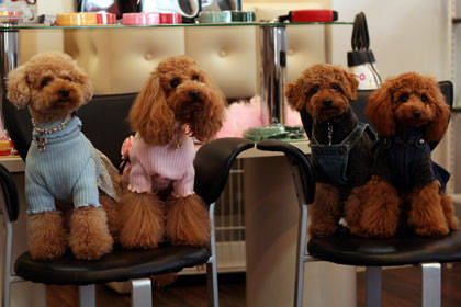 なおんさんに頂いた写真