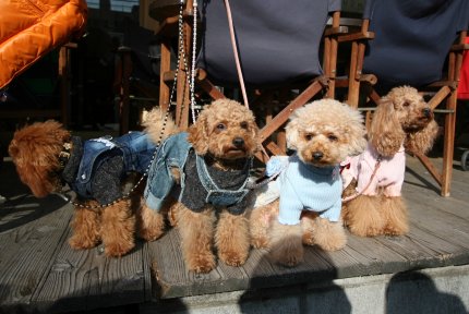 シュハリで記念撮影