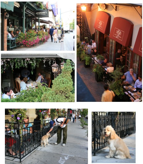 オープンテラス