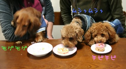 レオくん早い！