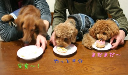 レオくん完食！