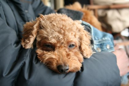 まったり晴ちん