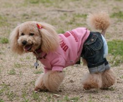 スモちゃん