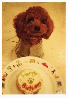 去年の誕生日写真