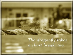 2008.9.6　運動会