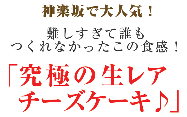 生レアチーズケーキ～厳選スイーツ～